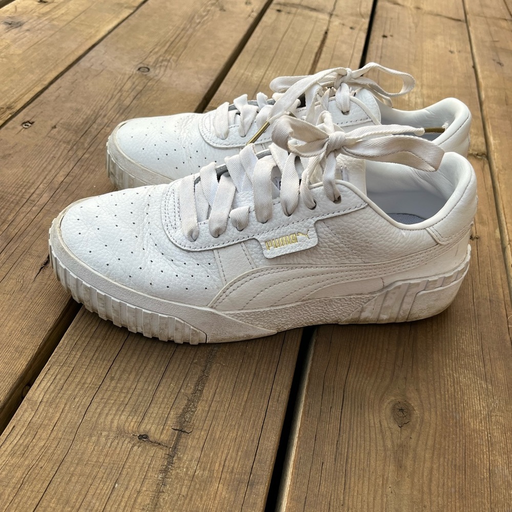 pumas
